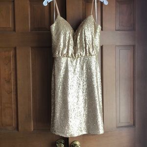 Bari Jay Sequin Dress